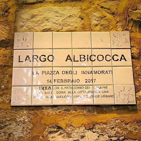 Loft Albicocca